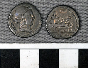 Thumbnail of Coin: Roman Republic, Denarius (1919.63.0985)