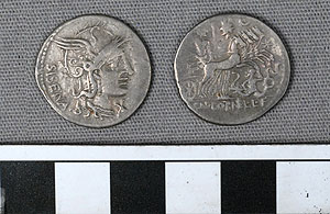 Thumbnail of Coin: Roman Republic, Denarius (1919.63.1009)