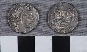 Thumbnail of Coin: Roman Republic, Denarius (1919.63.1048)