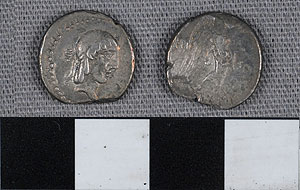 Thumbnail of Coin: Roman Republic, Quinarius (1919.63.1055)