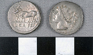 Thumbnail of Coin: Roman Republic, Denarius (1919.63.1057)