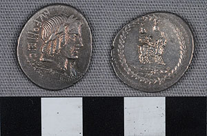 Thumbnail of Coin: Roman Republic, Denarius (1919.63.1071)