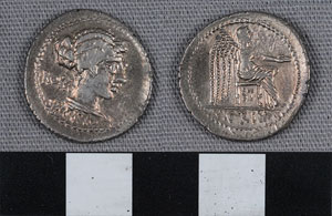 Thumbnail of Coin: Roman Republic, Denarius (1919.63.1075)
