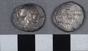 Thumbnail of Coin: Roman Republic, Denarius (1919.63.1076)