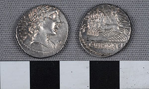 Thumbnail of Coin: Roman Republic, Denarius (1919.63.1077)