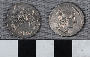 Thumbnail of Coin: Roman Republic, Denarius (1919.63.1100)