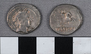 Thumbnail of Coin: Roman Republic, Denarius (1919.63.1101)