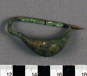 Thumbnail of Fibula (1922.01.0010)