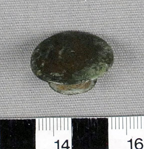Thumbnail of Button ()