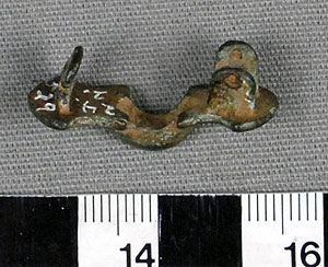 Thumbnail of Fibula (1924.02.0529)