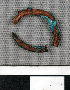 Thumbnail of Ring Fragment (1926.02.0116)
