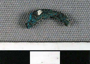 Thumbnail of Ring Fragment (1926.02.0119)