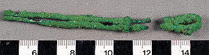Thumbnail of Tweezers (1926.02.0130N)