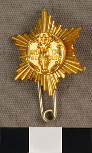 Thumbnail of Pin (1977.01.0118)