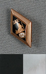 Thumbnail of Membership Pin: U of I Sigma Alpha Epsilon (1977.01.0666)