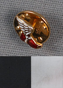 Thumbnail of Commemorative Pin: Amateur Athletic Association (1977.01.0673)