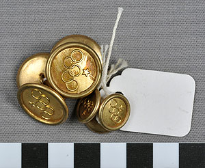 Thumbnail of Button Cluster (1977.01.0988)