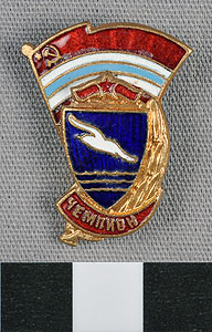 Thumbnail of Award Pin: First Place (1977.01.1280)