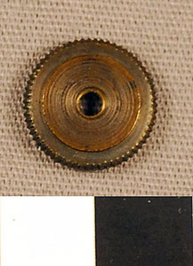 Thumbnail of Balloonist