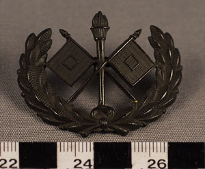 Thumbnail of Balloonist