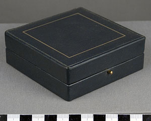 Thumbnail of Medal Case:  Nineteenth Founders Award (1991.04.0014A)