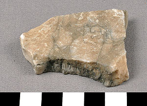 Thumbnail of Tile Fragment (1900.12.0026)