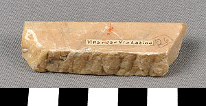 Thumbnail of Tile Fragment (1900.12.0037)