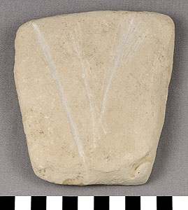 Thumbnail of Stone Tool: Worked Stone: Sandstone Abrader (1901.08.0004)