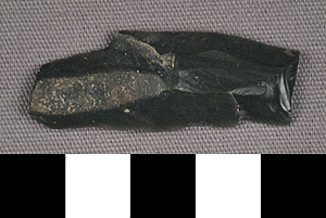 Thumbnail of Stone Tool: Blade (1901.11.0023)