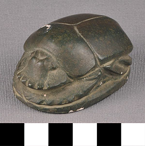 Thumbnail of Plaster Cast of Scarab Beetle (1913.13.0001)