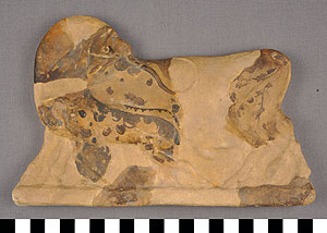 Thumbnail of Plaster Cast of Minoan Religious Plaque: Bull (1914.02.0016)