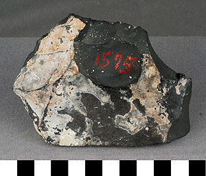 Thumbnail of Tile Fragment (1922.10.0038)