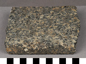 Thumbnail of Tile Fragment (1922.10.0042)