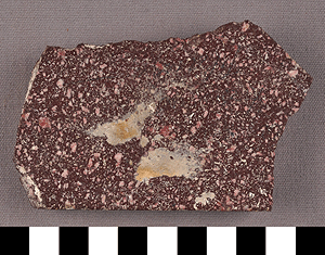 Thumbnail of Tile Fragment (1922.10.0045C)