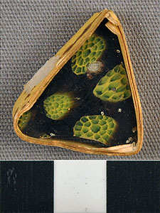 Thumbnail of Sherd Millefiori Cup Fragment (1929.02.0045)