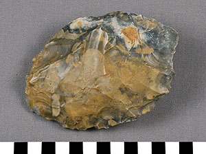 Thumbnail of Stone Tool: Hand Ax (1930.08.0003)