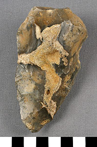 Thumbnail of Stone Tool: Hand Ax (1930.08.0004)