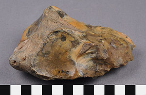 Thumbnail of Stone Tool: Hand Ax (1930.08.0007)