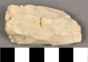 Thumbnail of Stone Tool: Worked Stone (1930.08.0035)