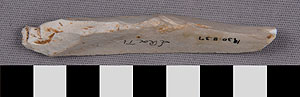 Thumbnail of Stone Tool: Scraper (1930.08.0037)