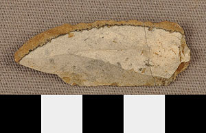 Thumbnail of Stone  Tool:  Scraper (1930.08.0038)