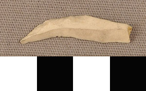Thumbnail of Stone Tool: Scraper (1930.08.0040)
