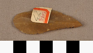 Thumbnail of Stone Tool: Projectile Point (1930.08.0052)