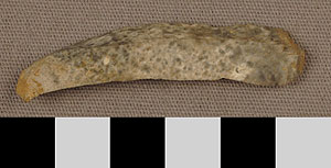 Thumbnail of Stone Tool: Projectile Point (1930.08.0071)