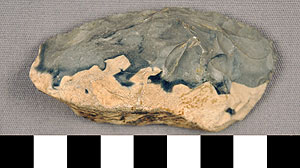 Thumbnail of Stone Tool: Tool (1930.08.0079)