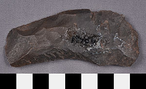 Thumbnail of Stone Tool: Scraper (1930.08.0084)