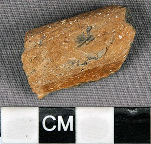 Thumbnail of Rim Sherd (1956.02.0149)