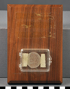 Thumbnail of Commemorative Olympic Plaque: Pins worn by Astronaut John l. Swigert, Apollo 13 Flight (1977.01.0210A)
