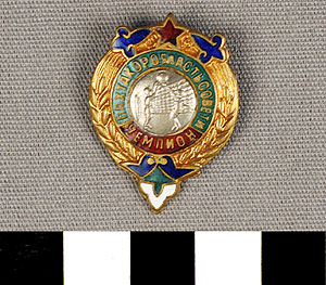 Thumbnail of Award Pin: Volleyball Competition (1977.01.1274)