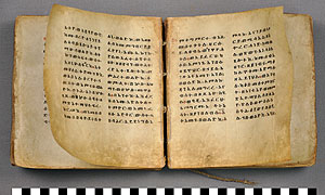 Thumbnail of Parchment Manuscript: Arganona Weddase (1971.05.0004)